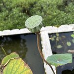 Photo taken by Fuad A