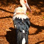 Photo taken by Dennis H