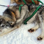 Photo taken by Ronnie B