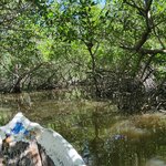 Photo taken by amny g