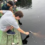 Photo taken by Emily H