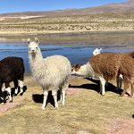 Photo taken by Flaminia R