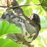 Photo taken by Patricia D