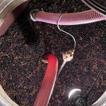 Photo taken by Melody B