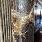 Photo taken by Amanda F