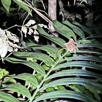 Photo taken by Chris G