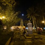 Photo taken by Bincy P