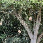 Photo taken by Michael L