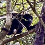 Photo taken by Ben B