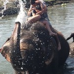 Chitwan elephant bathing | Photo taken by Kaniez C