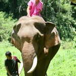 Photo taken by Julien C