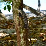 Photo taken by William R