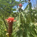 Photo taken by Bert B