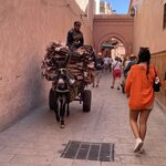 Photo taken by Gaia B