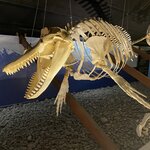 Photo taken by Nan K