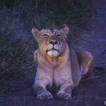 Photo taken by Paul S