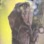 Photo taken by Morton A