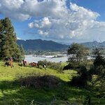 Photo taken by Nicole G