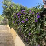 Photo taken by Susan W