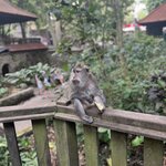 Photo taken by Brittany Leslie Lynn S