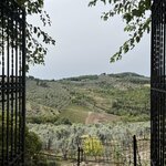 Photo taken by Michelle P