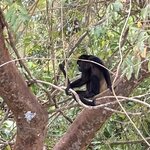 Photo taken by Sharon N