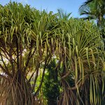 Photo taken by Kristy P