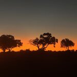 Photo taken by Tom B