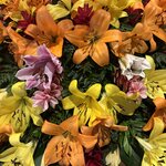 Photo taken by Heather R