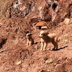 Photo taken by Maria R