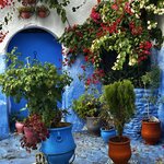 Photo taken by Rajarshi M