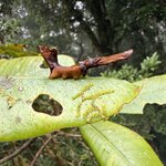 Photo taken by Dana F