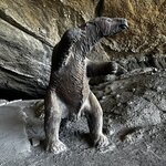 Photo taken by Rizal K