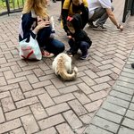 Photo taken by Mike B