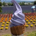 Photo taken by Caroline K