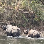 Photo taken by Carina S