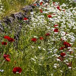 Photo taken by Jean M