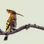 Photo taken by Graham D