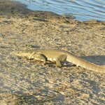 Photo taken by Linette B