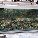 Photo taken by Jimmy J