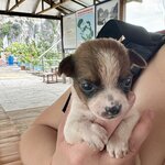 Photo taken by Mylan L