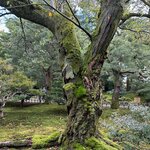 Photo taken by Evan S