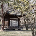 Photo taken by John K