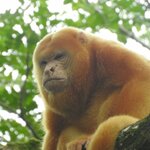 Photo taken by Alex V