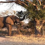 Photo taken by Tom B