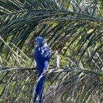 Photo taken by Sathees R