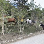 Photo taken by Paul P