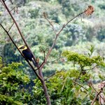 Photo taken by Brett F