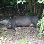 Photo taken by Gill P