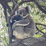 Photo taken by Susan C